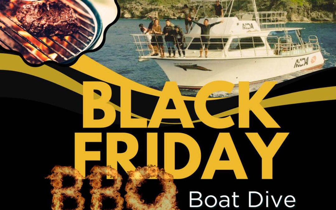 Black Friday Boat Dive